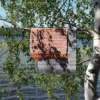 Huviniemi puuvillamatto koralli - Image 8